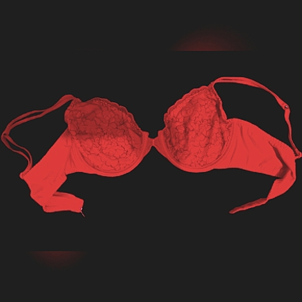 Vassarette Red & Black Bra 38B/ Grey & Black 36B